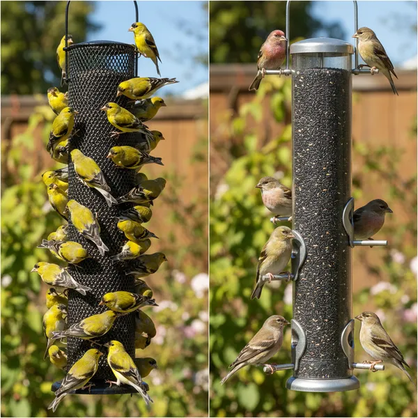 img of Mesh vs. Tube Feeders: Which is Best for Attracting Finches?