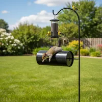img of Stop the Squirrels: Baffles and Hacks for Finch Feeders