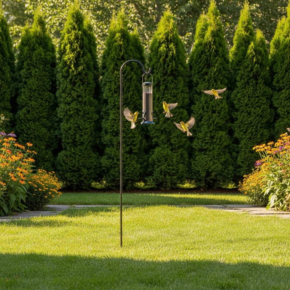 img of Location is Everything: Where to Hang Your Finch Feeder for Maximum Traffic
